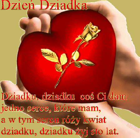 Złota róża w sercu na dłoni na dzień dziadka